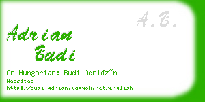 adrian budi business card